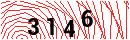 Security Verification