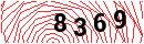 Security Verification