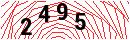 Security Verification
