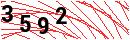 Security Verification