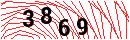 Security Verification