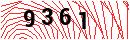 Security Verification