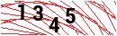 Security Verification