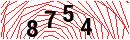 Security Verification