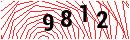 Security Verification