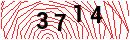 Security Verification