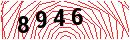 Security Verification
