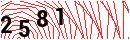Security Verification