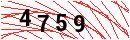 Security Verification