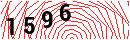 Security Verification