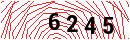 Security Verification