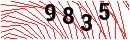 Security Verification