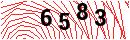 Security Verification