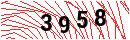 Security Verification