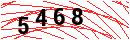 Security Verification