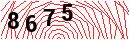 Security Verification