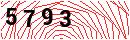 Security Verification