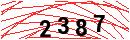 Security Verification