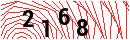 Security Verification