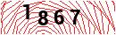 Security Verification
