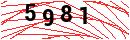 Security Verification