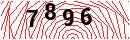 Security Verification