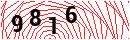 Security Verification