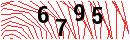 Security Verification
