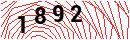 Security Verification