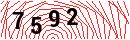 Security Verification