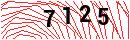 Security Verification