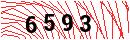 Security Verification