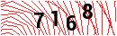 Security Verification