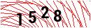 Security Verification