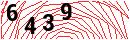 Security Verification
