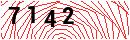 Security Verification