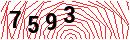 Security Verification