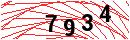Security Verification