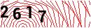 Security Verification
