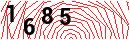 Security Verification