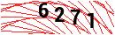 Security Verification