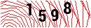 Security Verification