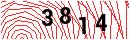 Security Verification