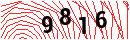 Security Verification