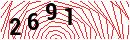 Security Verification
