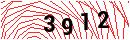 Security Verification