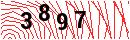 Security Verification