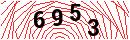 Security Verification
