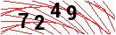 Security Verification