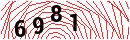 Security Verification
